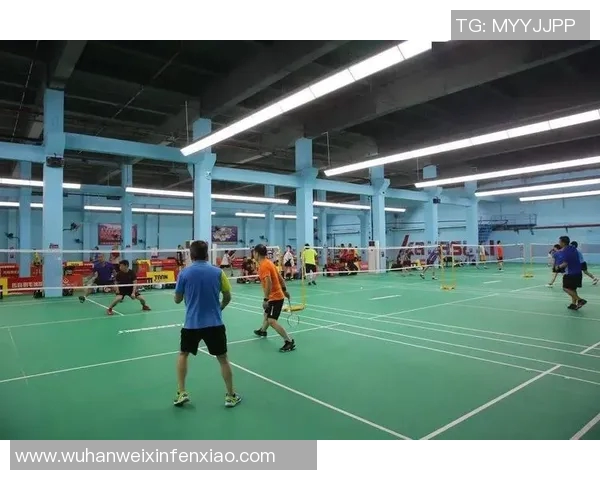 深圳羽毛球队的运营揭秘与发展深度分析